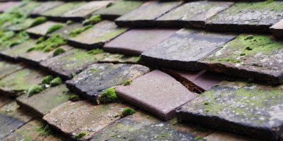 Hartpury roof repair costs